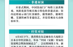 2025年日本大阪世博会中国馆“安徽活动日”  发布会